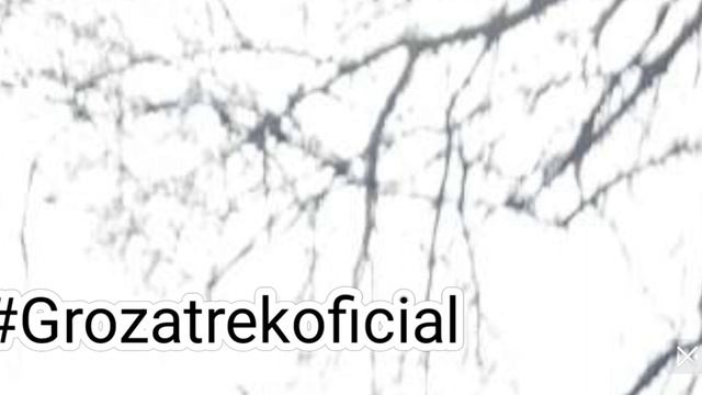 #Grozatrekoficial@drag10er #ромашка рома про 777 [🌩🌫🌬⛈️🌂] смотреть онлайн