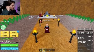 Как получить расу В3 в Блокс Фрутс Роблокс? Пробуждение Гайд для новичков в Blox Fruits Roblox.