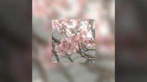 diamonds || speed up🎧