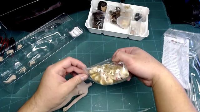 Unboxing 1/6 S44A and S45 A bodies by TBLeague/Phicen смотреть онлайн