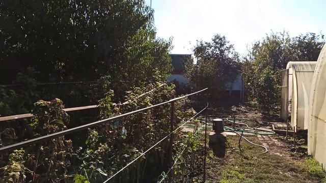 ПЕРЕЕХАЛИ НА КУБАНЬ.Сколько же их у нас.Втроем теплее. смотреть онлайн