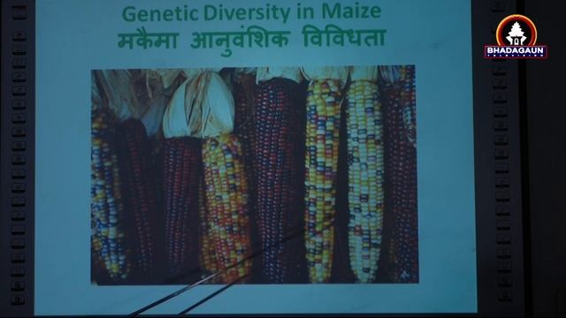 SEE/Subject-EPH/Nabindralal Karamcharya/Bhaktapur Municipality/Bhadgaun Television/Bhaktapur смотреть онлайн