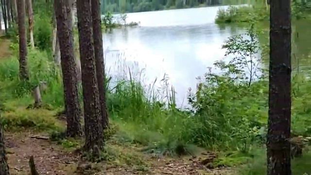 Запускаем змея.Пошли купаться на озеро СИЛАНДЭ. Повезло набрали лисичек смотреть онлайн