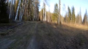 Поворот не туда...