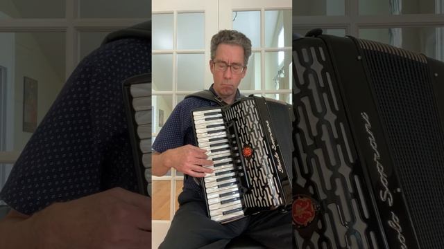 Finnish Waltz - Metsakukkia - Accordion смотреть онлайн