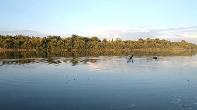 Видеофон "Вечерняя река" смотреть онлайн