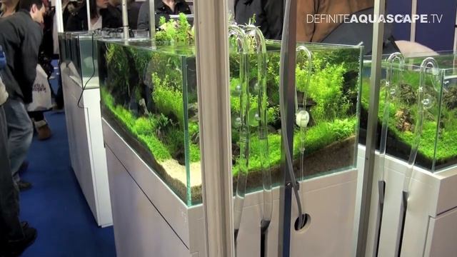 Aquascaping - Aquarium Ideas from Aquatics Live 2012, part 1 смотреть онлайн