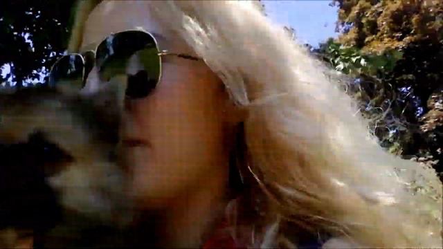 Моя собака- любимый и неповторимый шпиц :) смотреть онлайн