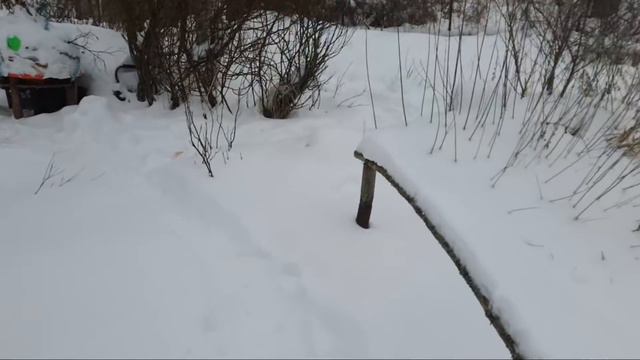 Стрим из заснеженной деревни. смотреть онлайн