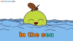 Fun Phonics | Level 5 | ai, oa, ie, ee, ea | How to Read | Made by Red Cat Reading