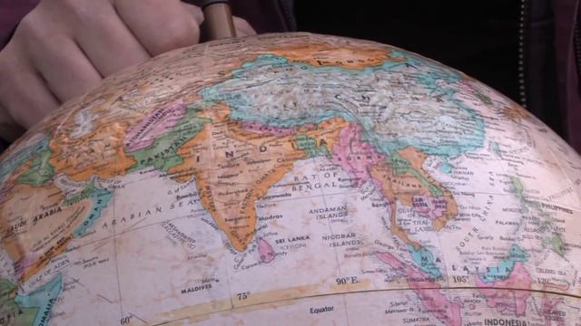 Gardening Tips & Flowers : How to Grow Cockscomb (Celosia) смотреть онлайн