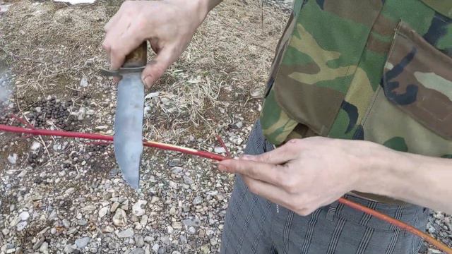 Dogwood and some of its uses смотреть онлайн