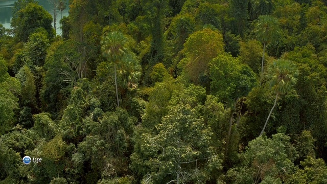 1. смотреть онлайн