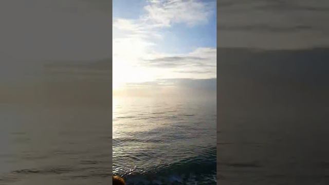 Абхазия Гагра, декабрь 2018 смотреть онлайн