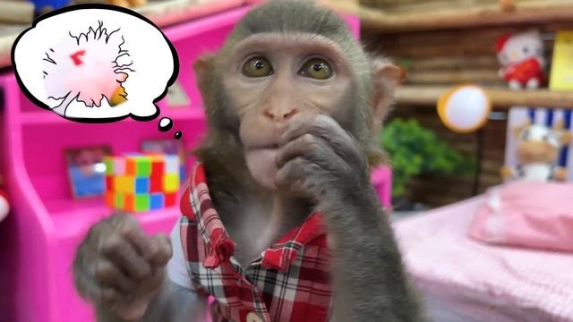 Baby monkey Bim Bim goes to get eggs and cooks with monkey Obi so cute смотреть онлайн