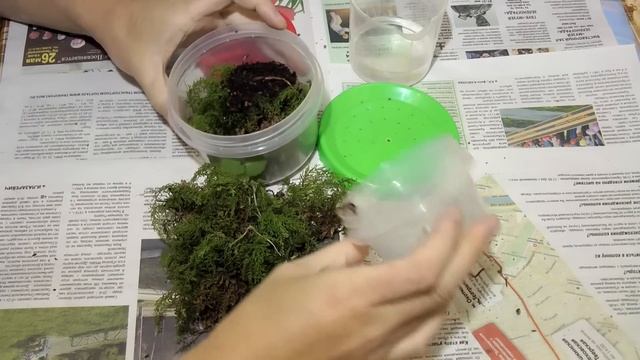 Как правильно хранить и подготовить червей для рыбалки. смотреть онлайн