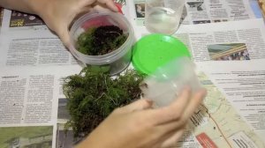 Как правильно хранить и подготовить червей для рыбалки.