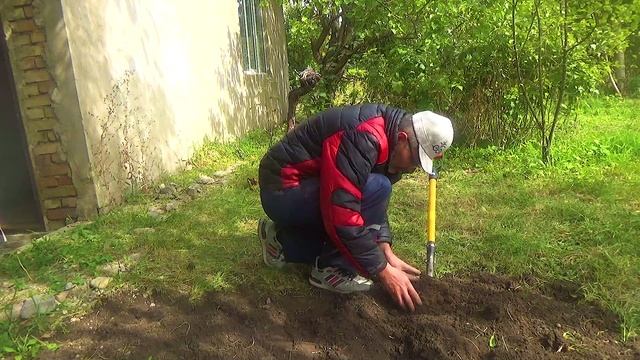 10 Кашляну и начну копать (2).mp4 смотреть онлайн