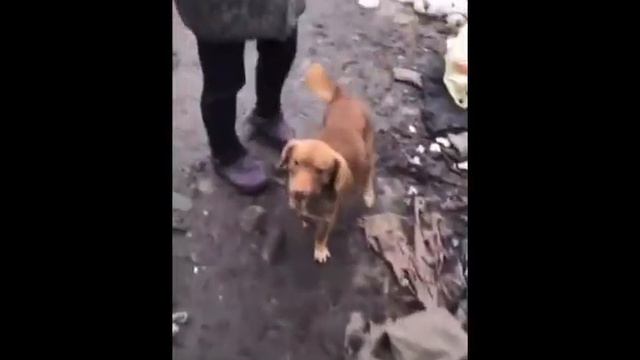 Добро пожаловать в АД!!! смотреть онлайн