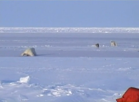 МЛАЭ 2009. Часть 2.