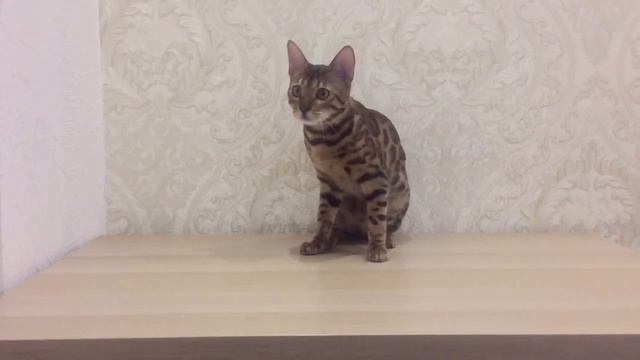 Выходные с детьми.