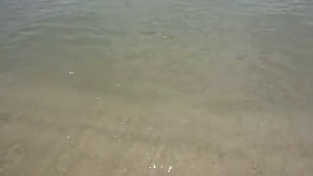 Tunisia, Средиземное море, Hammamet смотреть онлайн
