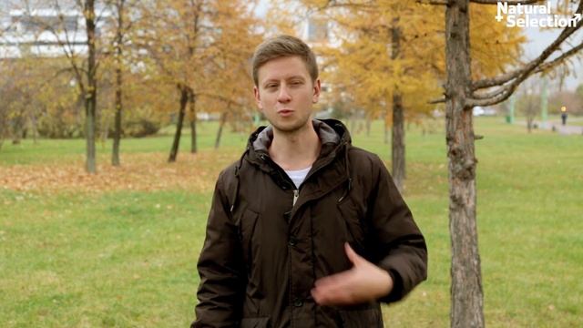 Как прикасаться к Девушке? Давид Багдасарян смотреть онлайн
