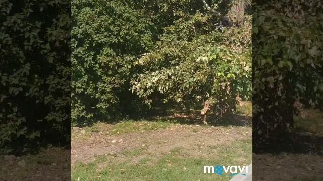 VII фестиваль гончаров в городе Скопин. Художественная школа. смотреть онлайн