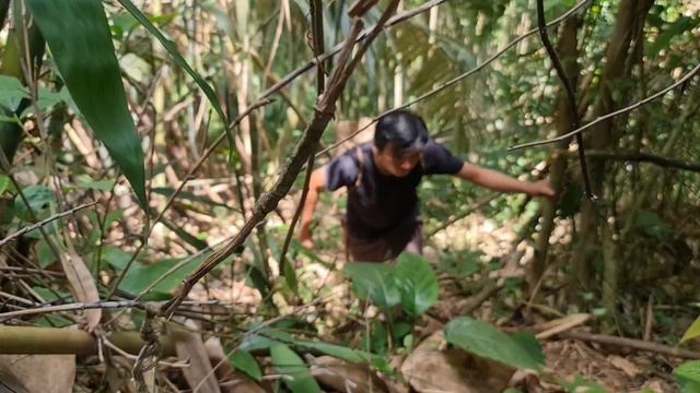 Making Dried Bamboo shoots, Caring for Wild Boars, Survival Instinct, Wilderness Alone смотреть онлайн