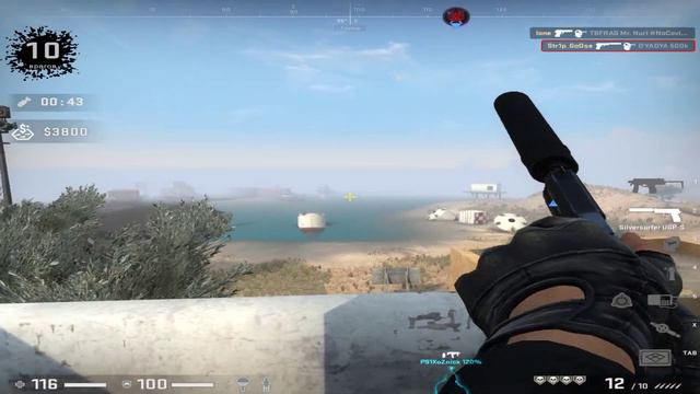 Капитан Гусь. Запретная Зона КС ГО. Counter-Strike: Global Offensive-Danger Zone. смотреть онлайн