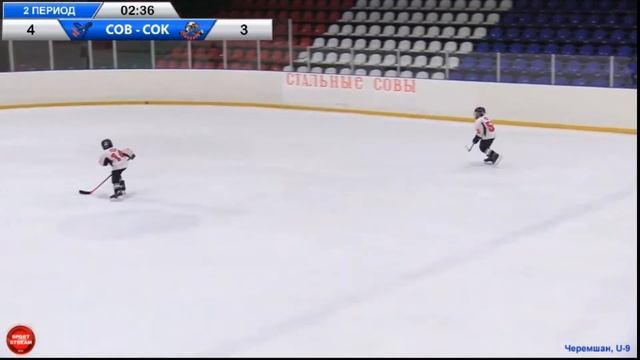 17.03.2023 СТАЛЬНЫЕ СОВЫ (Черемшан) - СОКОЛЫ (Азнакаево) LIVE 14:30, U-9 смотреть онлайн
