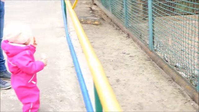 Василиса в зоопарке смотреть онлайн