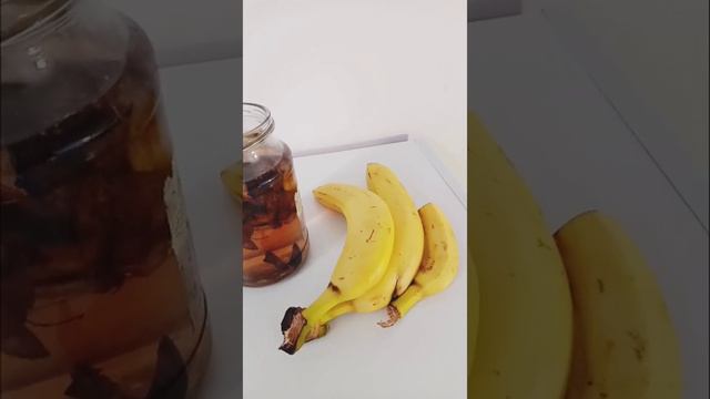 Органическое удобрение из кожуры Банана смотреть онлайн
