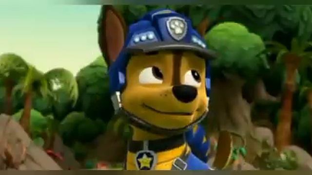 Заказ| Гонщик и Зума | СНЕГ В ОКЕАНЕ | щп