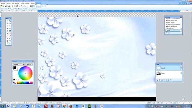 ¿Cómo editar una foto transparente? Paint.net смотреть онлайн