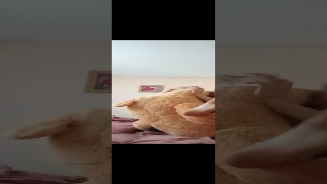 1000009130.mp4 смотреть онлайн