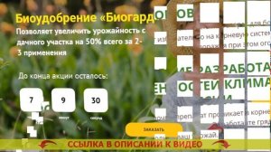 Средство от сорняков вьюнок