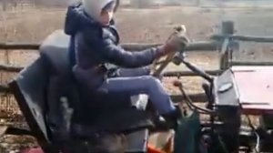 В лес по дрова на самодельном тракторе