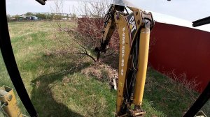 Как выкорчевать кустик.