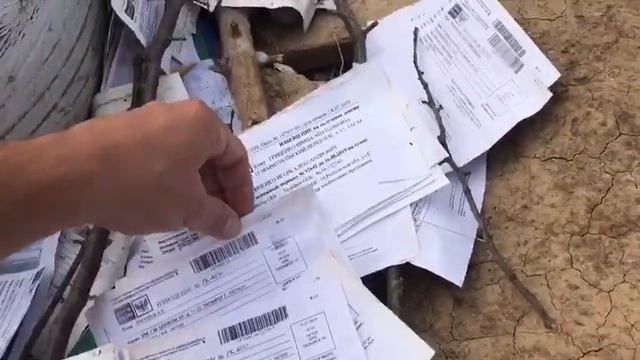 Как работает наша почта смотреть онлайн