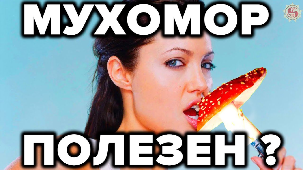 МYХ0М0РЫ - ЧТО ОТ НАС СКРЫЛИ...М? смотреть онлайн