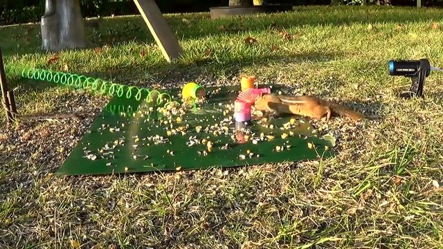 Как избавиться от конкурента смотреть онлайн