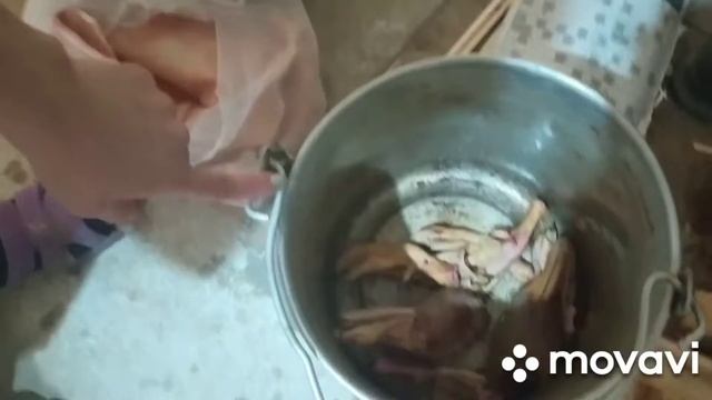 кормление НЕСУШКИ| 2часть когда кончились корма| магазин не работает| смотреть онлайн