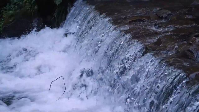 Flauta Tibetana - Elimina Estrés, Liberación De Melatonina Y Toxinas - Calmar La Mente Y El Alma