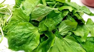 Лекарство и еда под ногами.Подорожник.Ферментированный чай из листьев подорожника.