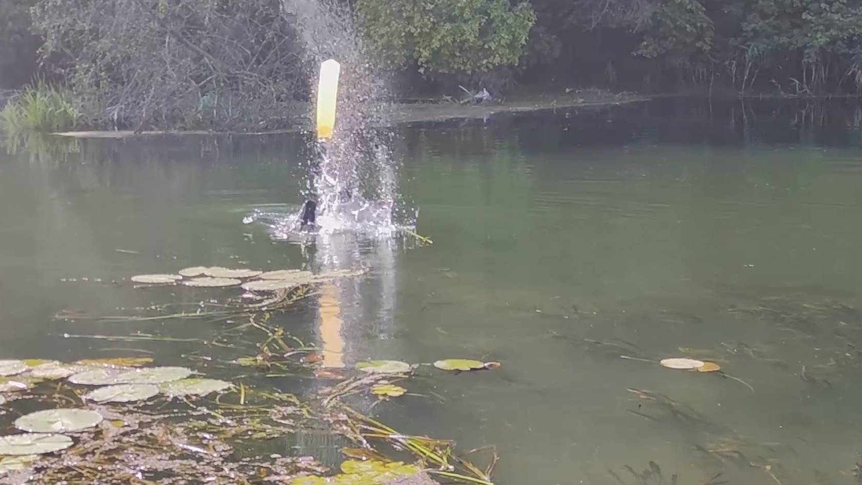 Подводная охота - два дня на Курских просторах смотреть онлайн