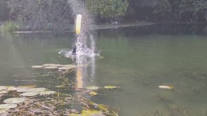 Подводная охота - два дня на Курских просторах