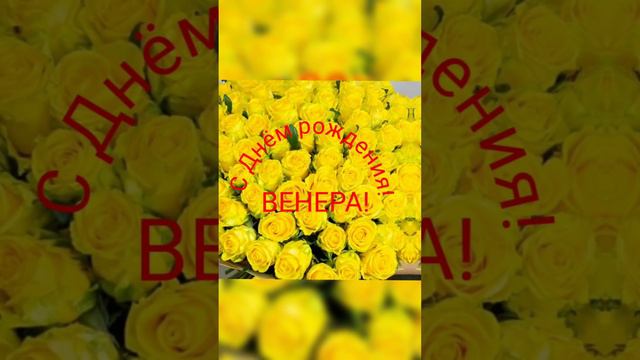 С Днём рождения, Венера! смотреть онлайн