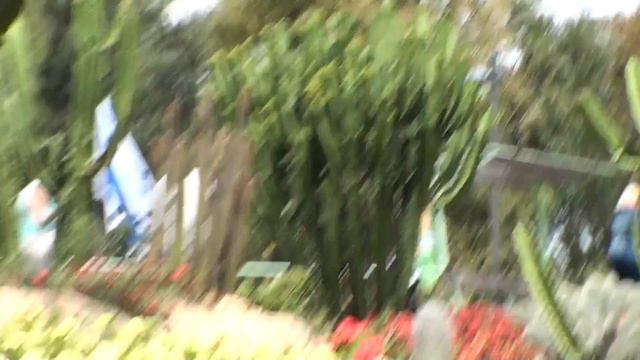 Парк Утопия в Израиле (32).MTS смотреть онлайн