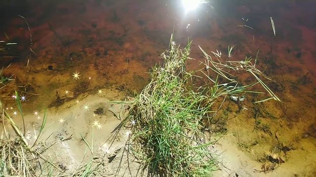 Beauty of Belarus. Beautiful lakes Nalibotskaya Pushcha. Сябрыньские Озёра Налибокская пуща Беларус смотреть онлайн